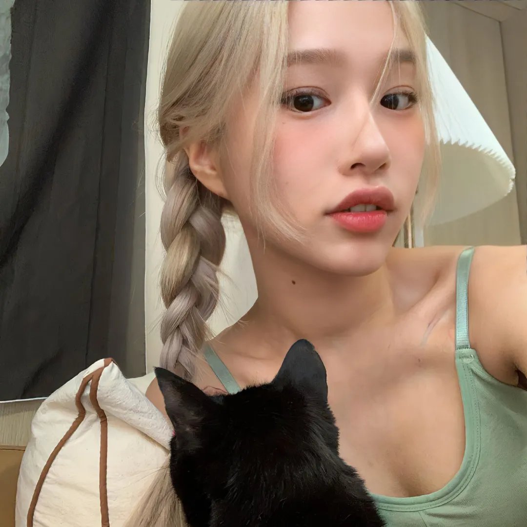 摄影师贝尔蒂与海豚零距离